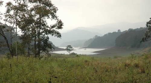 पेरियार राष्ट्रीय उद्यान